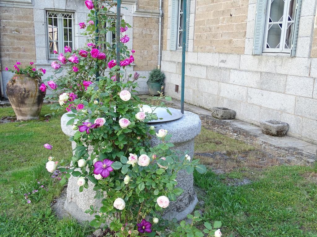 Chateau De Crocq - Chambres D'Hotes De Charme Екстер'єр фото